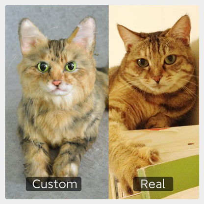 Custom Pet Plush from Photo – Memorial Keepsake for Dogs & Cats